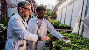 ICTQual Level 6 Diploma in Agriculture Engineering 360 Credits – Three Years